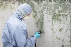 Best Mold Prevention Services  in Highlands, TX